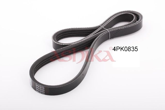 V-ribbed Belt-1