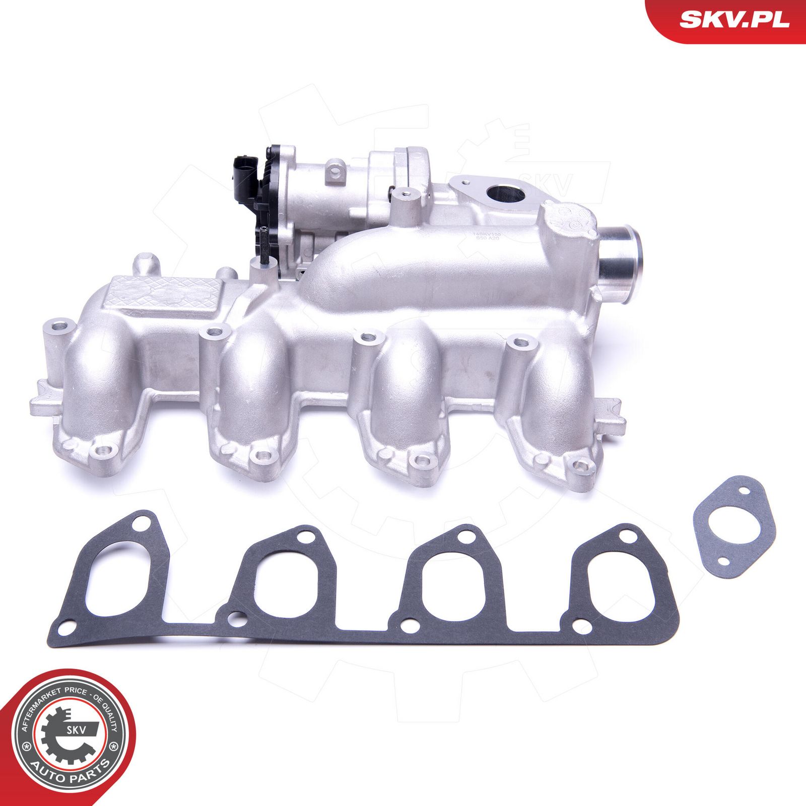 EGR Valve-4