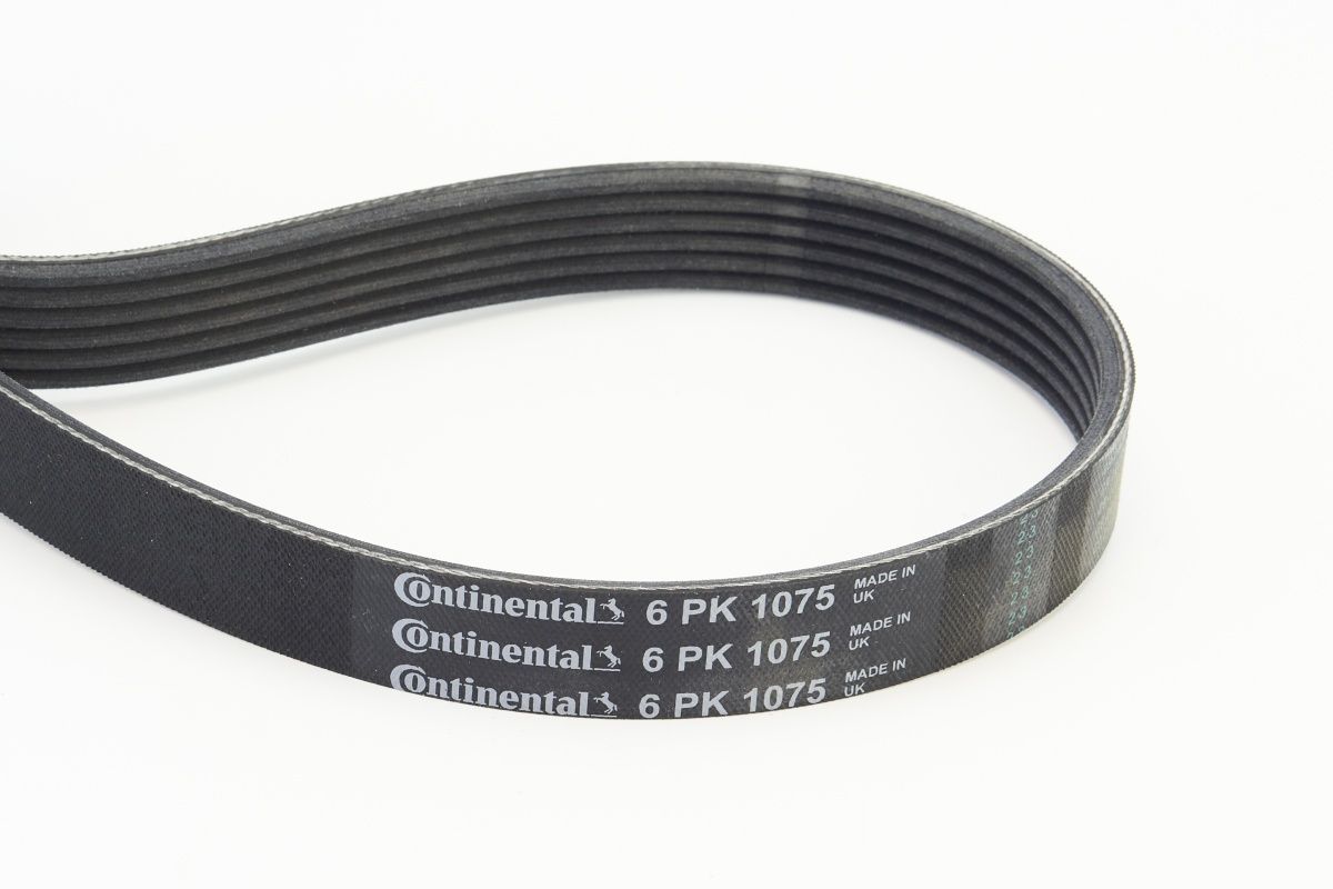 CONTINENTAL CTAM 6PK1075 V-ribbed belt