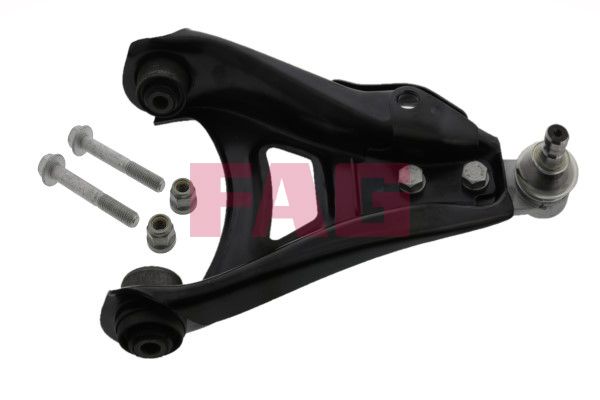 SCHAEFFLER FAG 821 0313 10 Control/trailing arm, wheel suspension