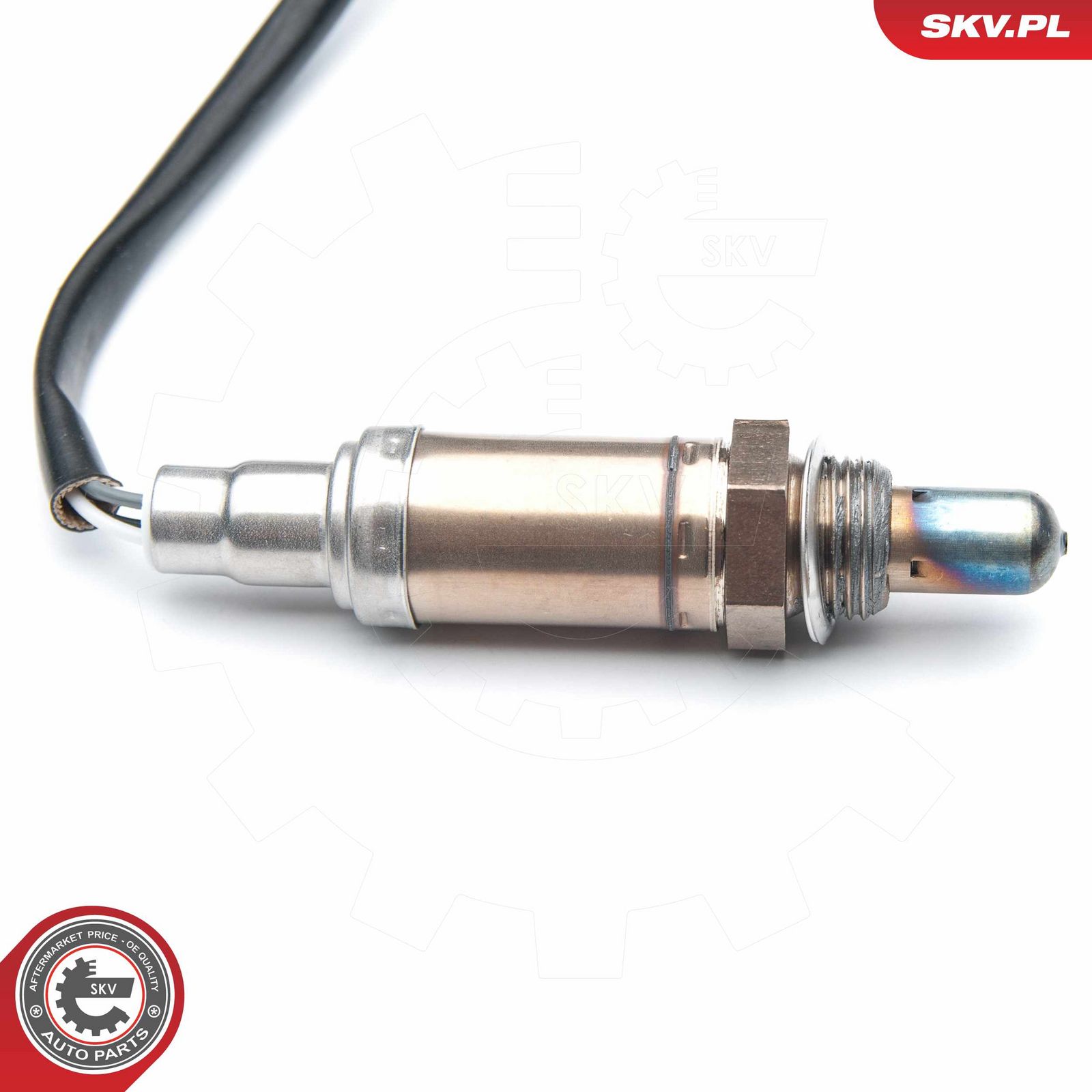Oxygen Sensor-2
