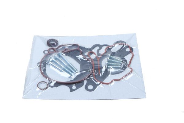 Repair Set, vacuum pump (braking system)