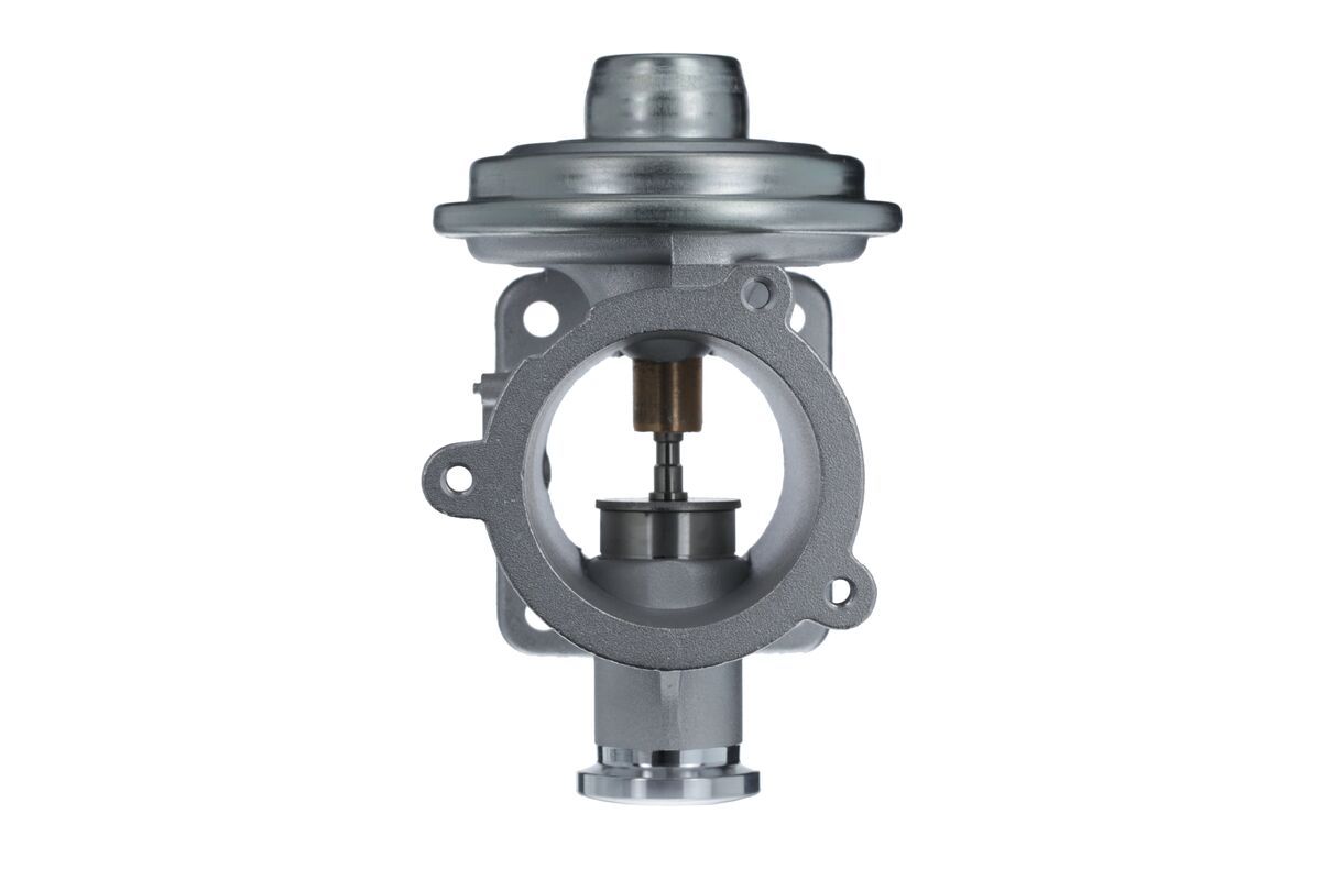 EGR Valve-1