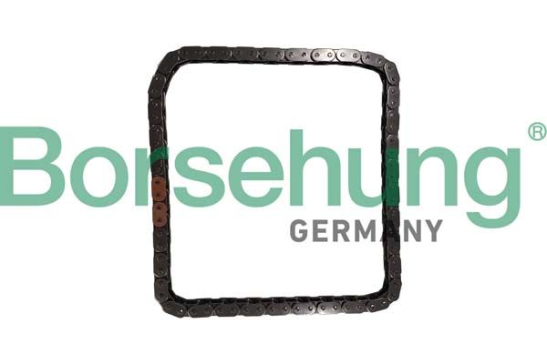 BORSEHUNG B12785 Timing chain
