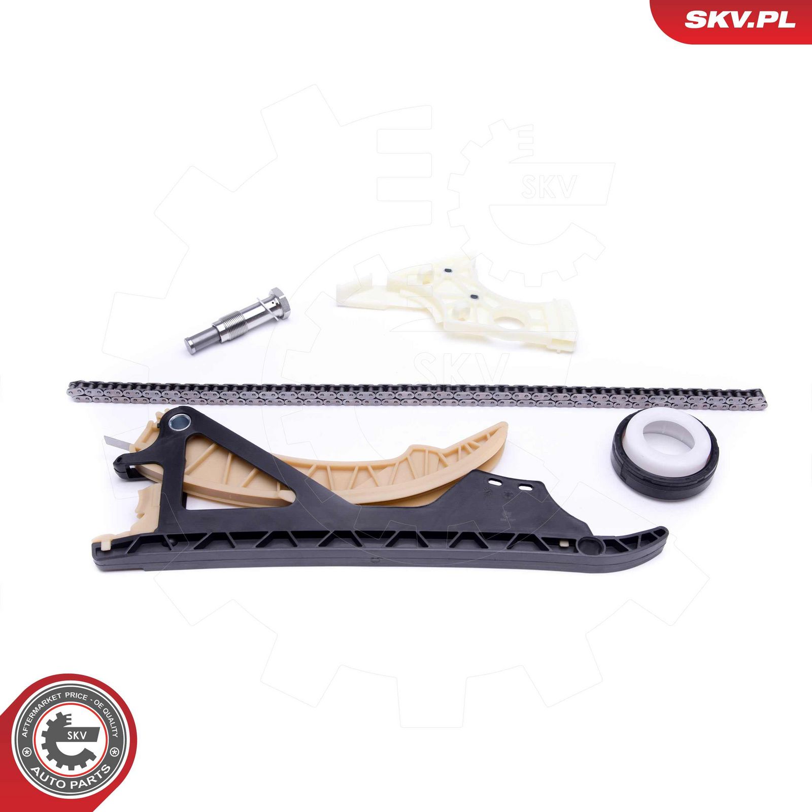 ESEN SKV 21SKV169 Timing chain kit