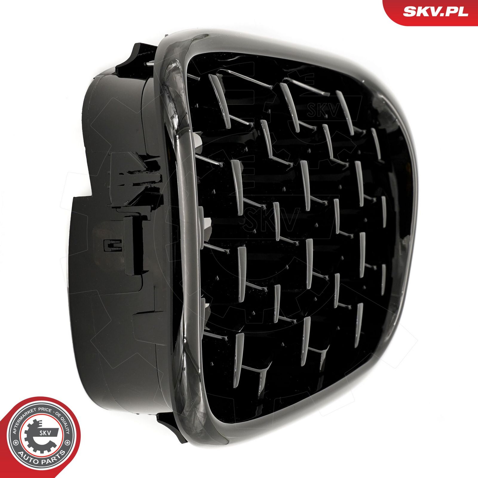 Radiator Grille-4