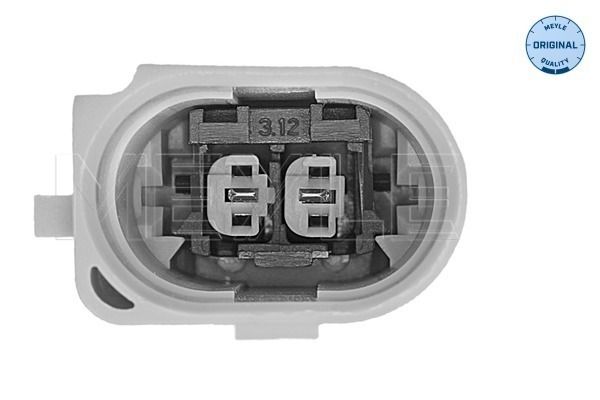 Mounting, engine-2