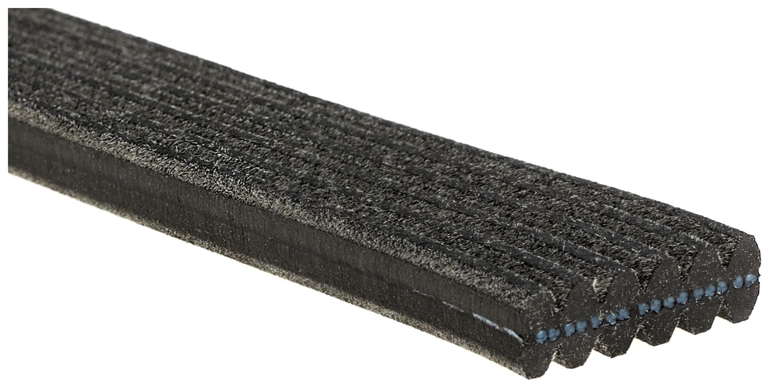 V-ribbed Belt-1