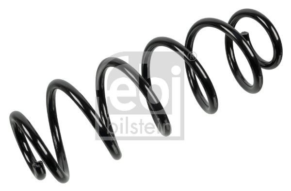 Suspension Spring-main