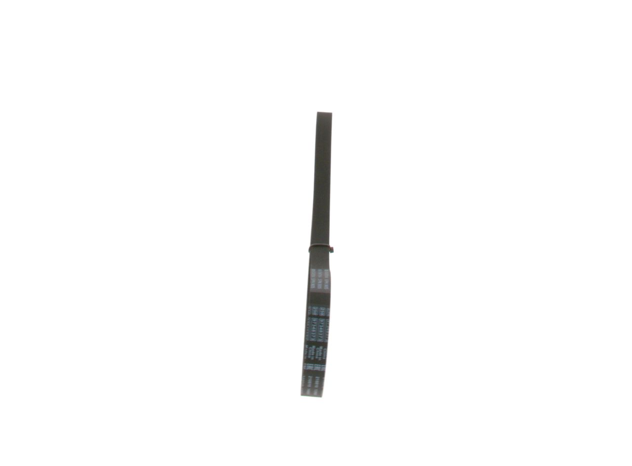 V-ribbed Belt-3