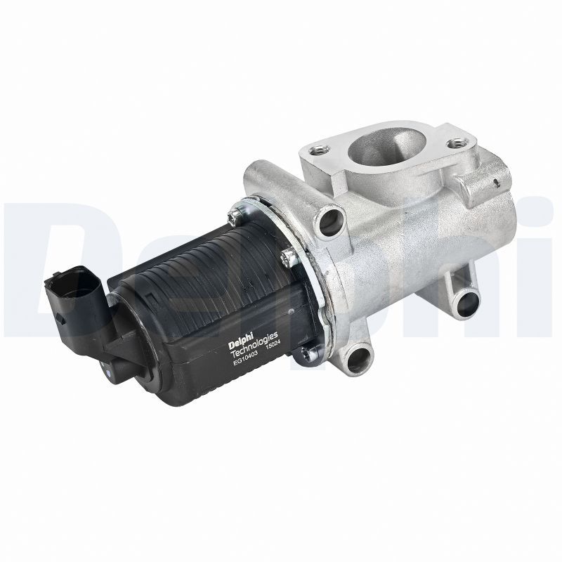 DELPHI EG10403-12B1 Egr valve