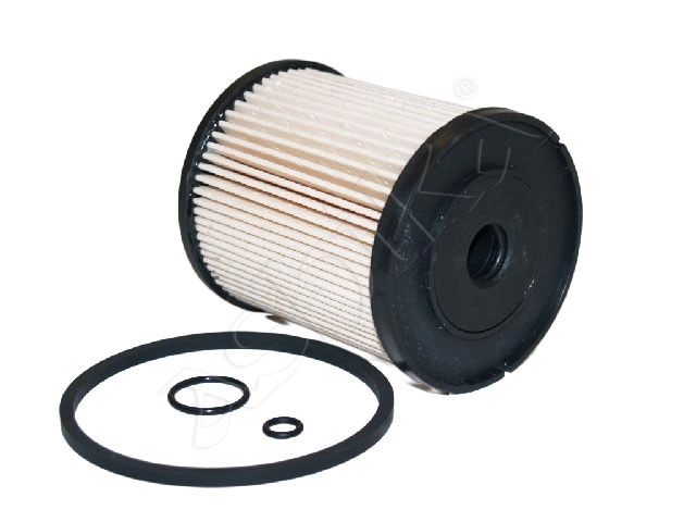 ASHIKA 30-ECO076 Fuel filter