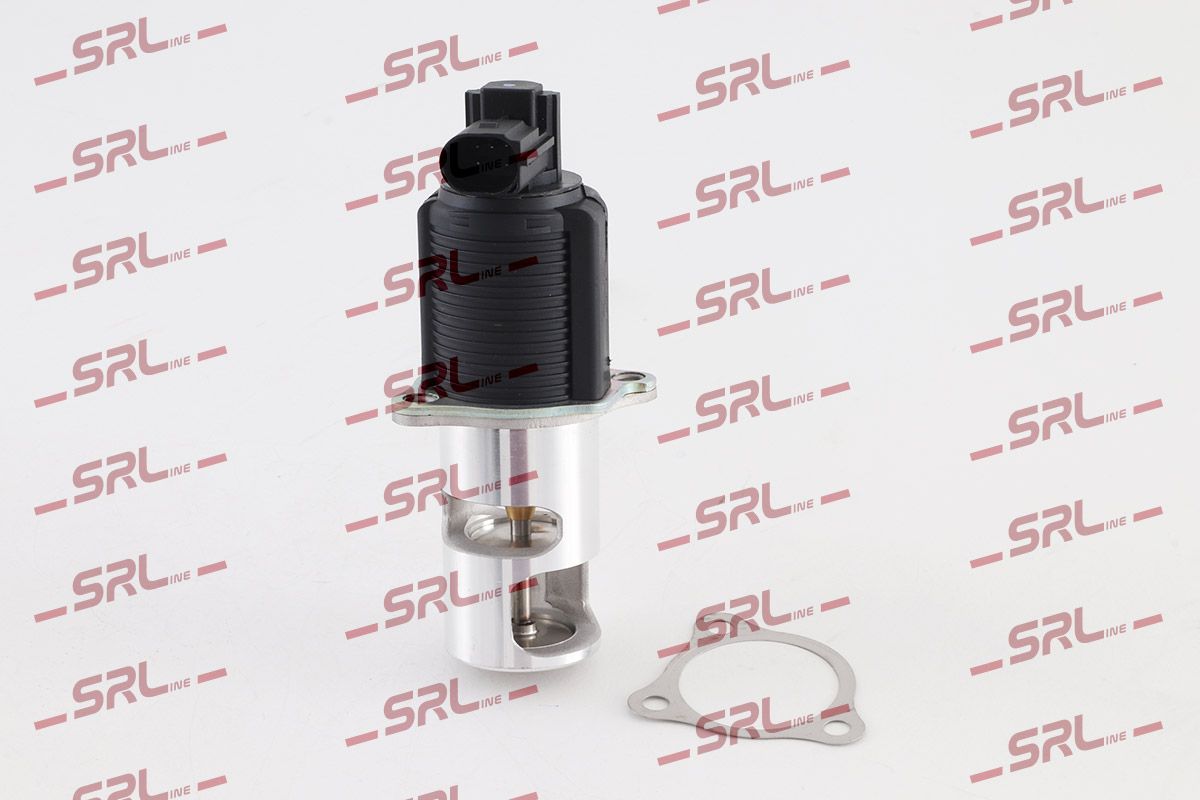 EGR Valve