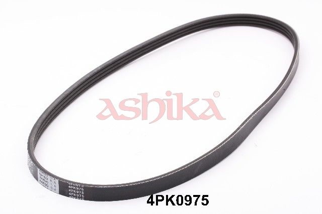 ASHIKA 112-4PK975 V-ribbed belt