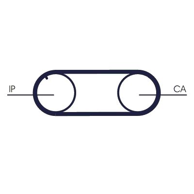 Timing Belt-1