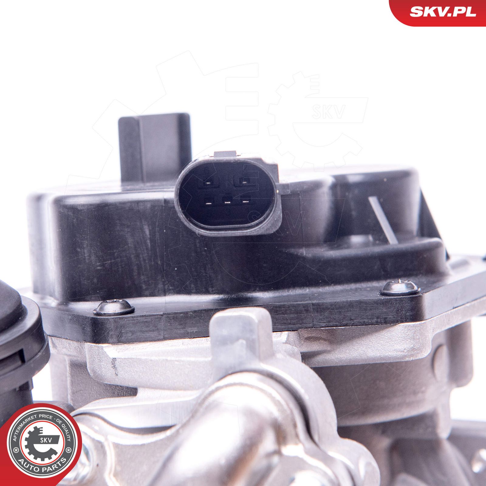 EGR Valve-3
