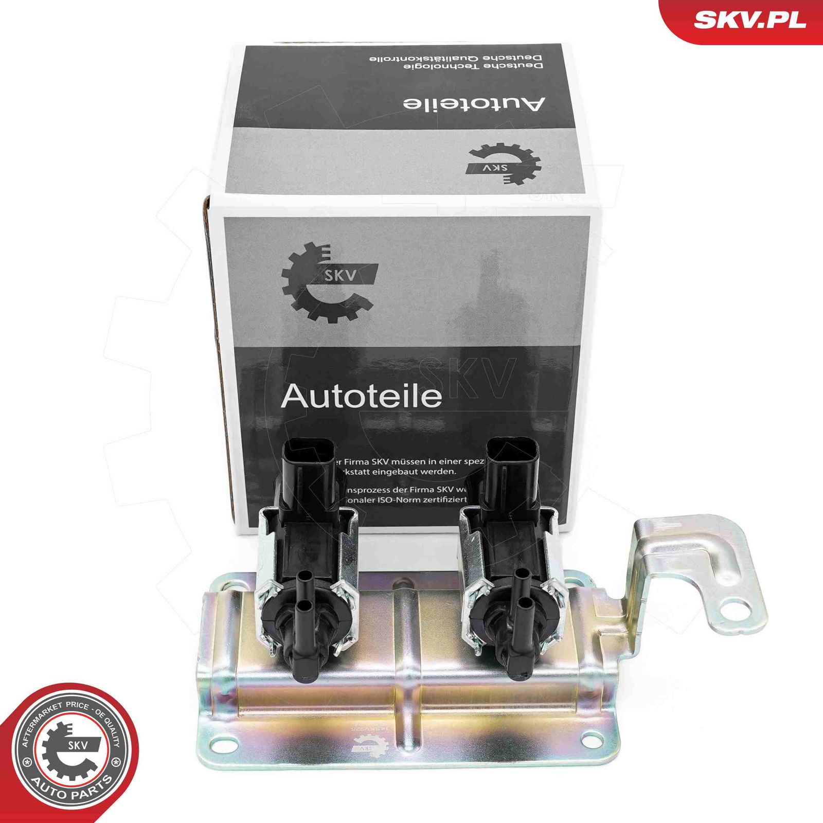 Valve, air control (intake air)-3