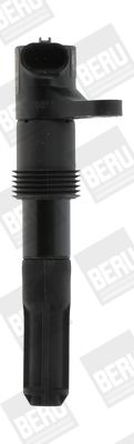 BORGWARNER (BERU) ZS321 Ignition coil