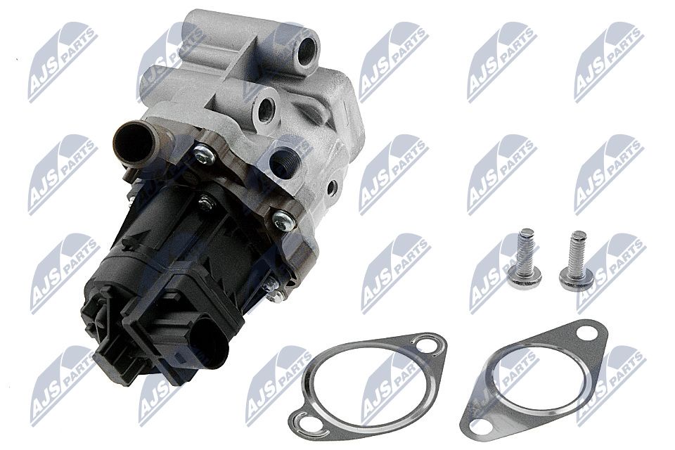 EGR Valve-1