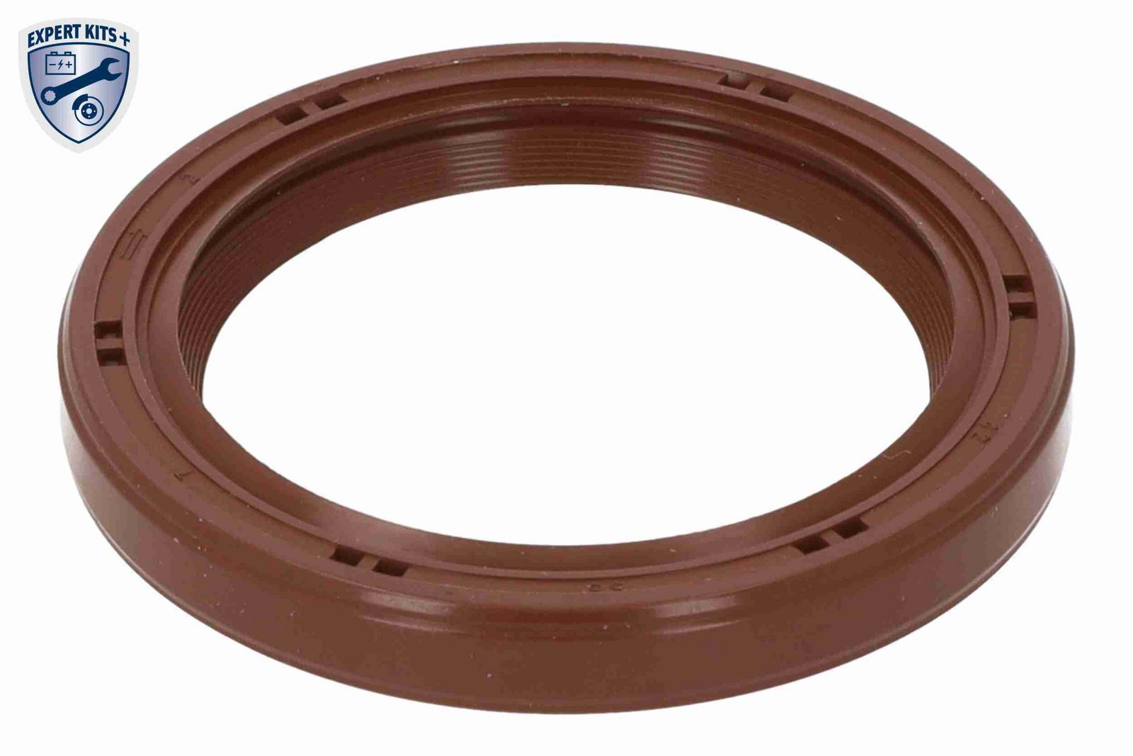 Timing Chain Kit-10