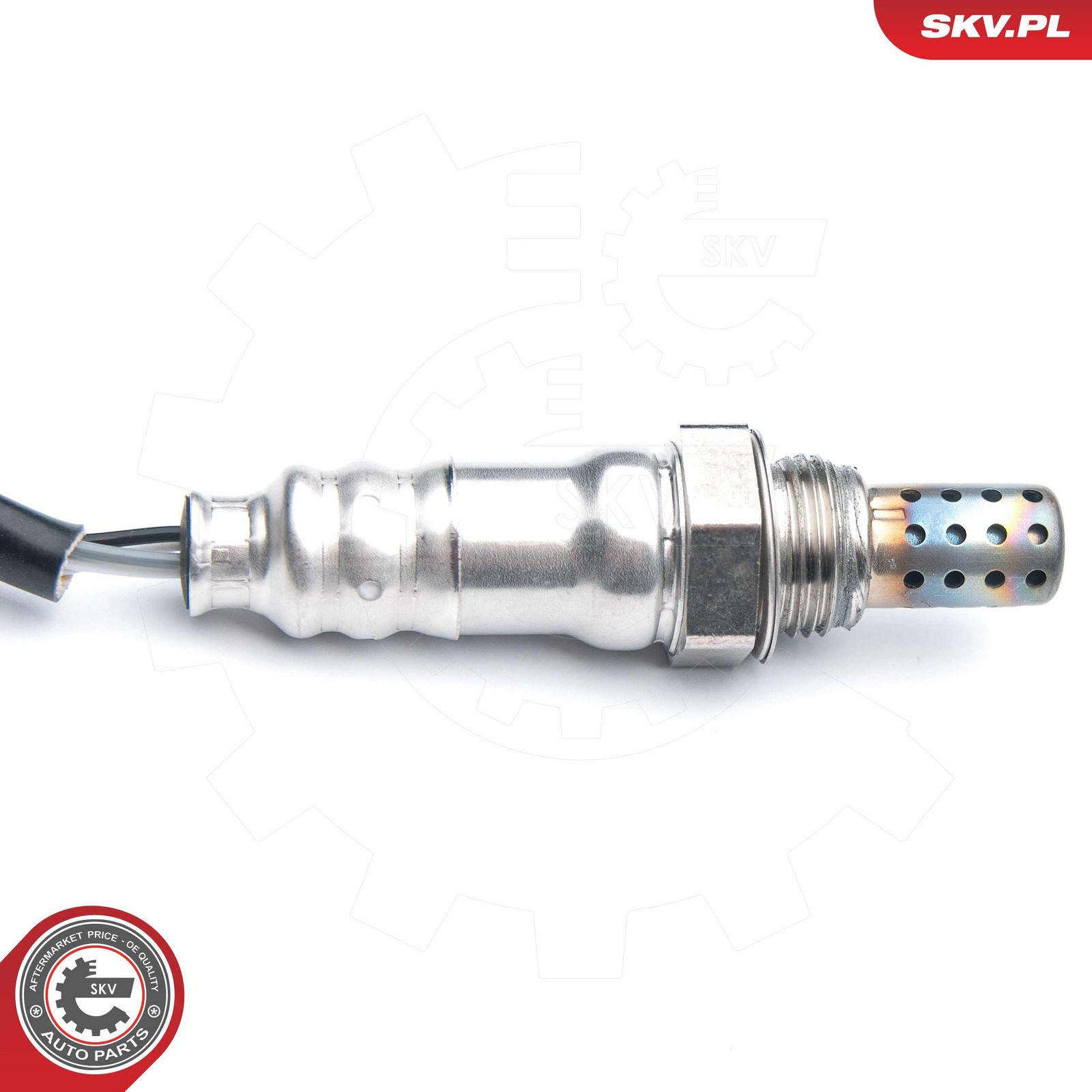 Oxygen Sensor-2