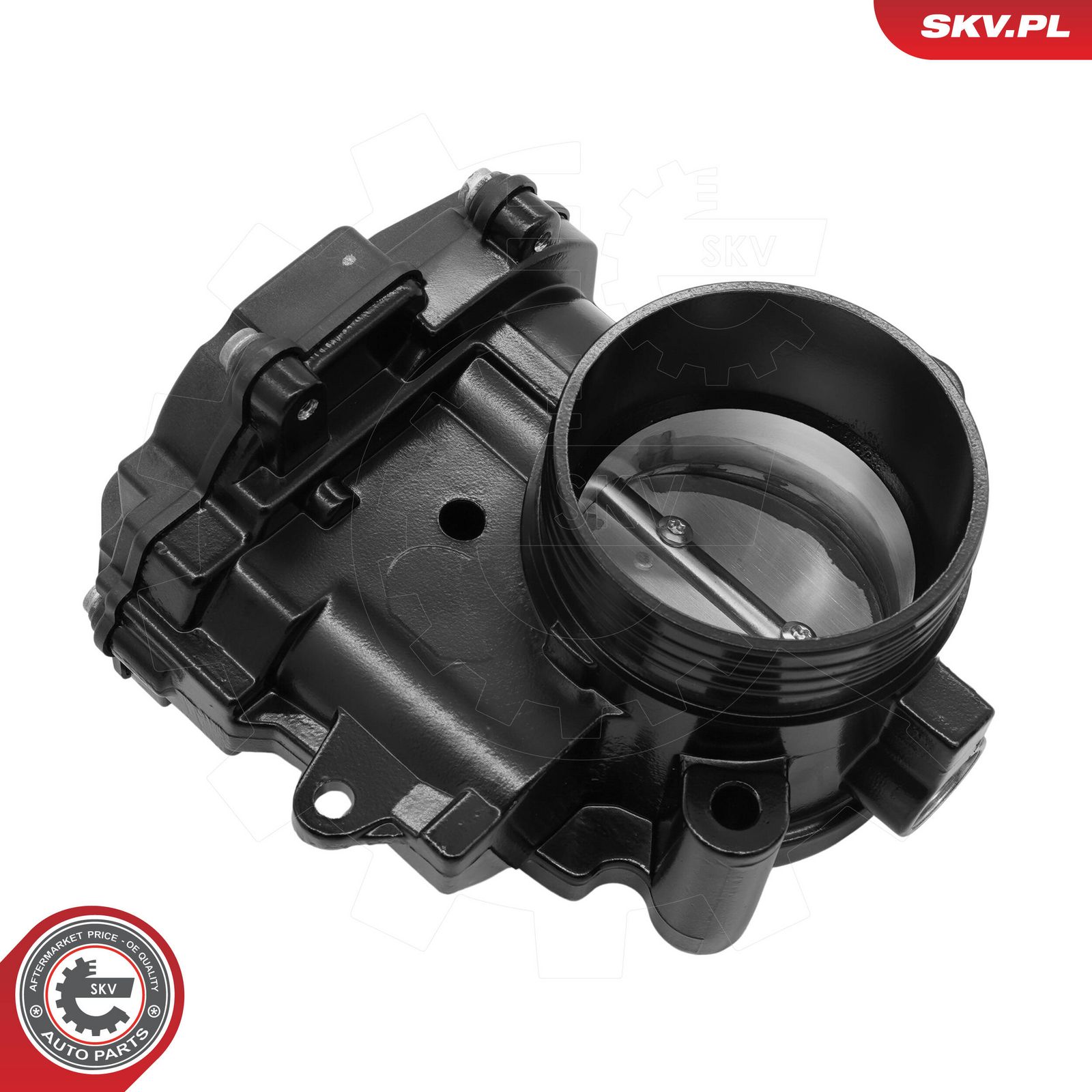 ESEN SKV 12SKV210 Throttle body