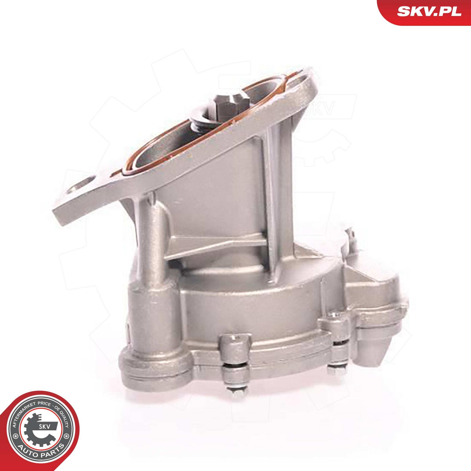 ESEN SKV 18SKV006 Vacuum pump, braking system