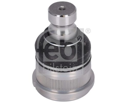 Šarnyras / girgždukas