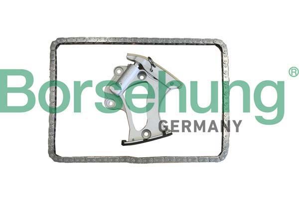 BORSEHUNG B10249 Timing chain kit