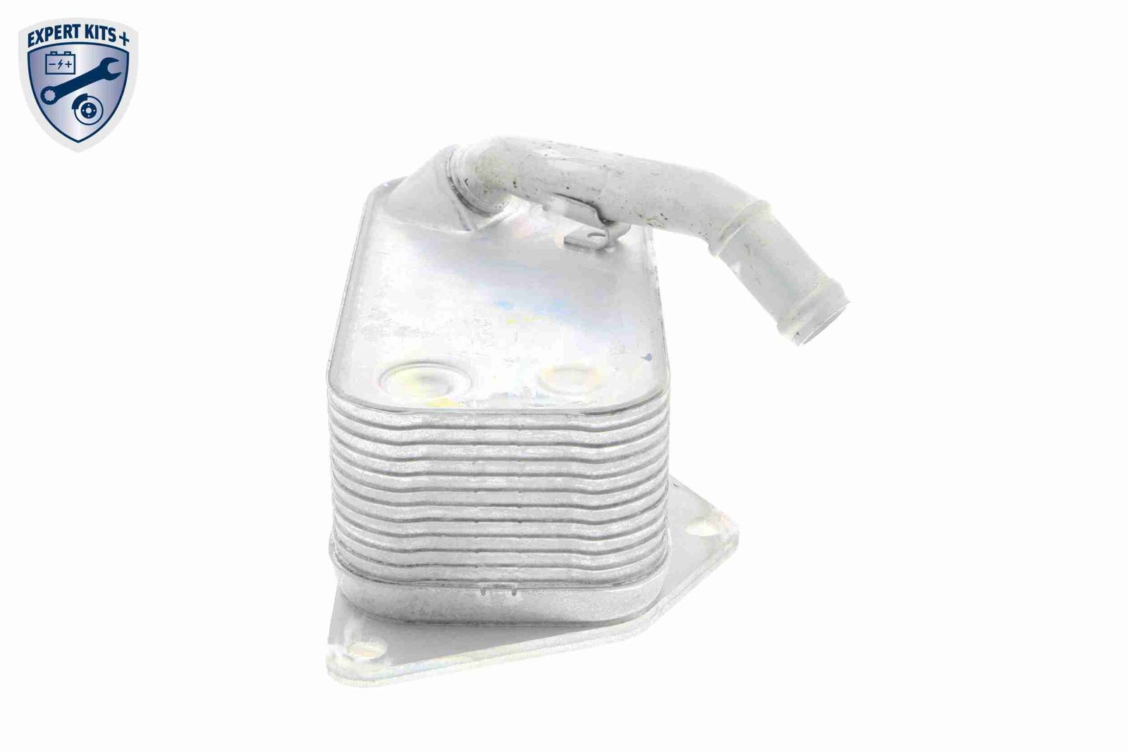 Oil Cooler, engine oil-8