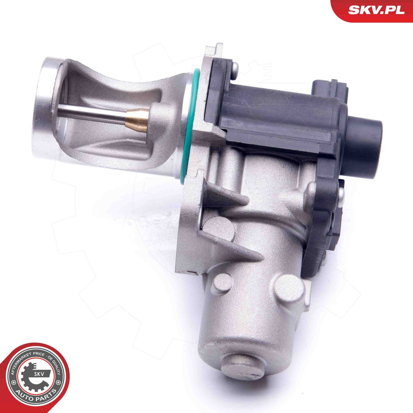 EGR Valve-5