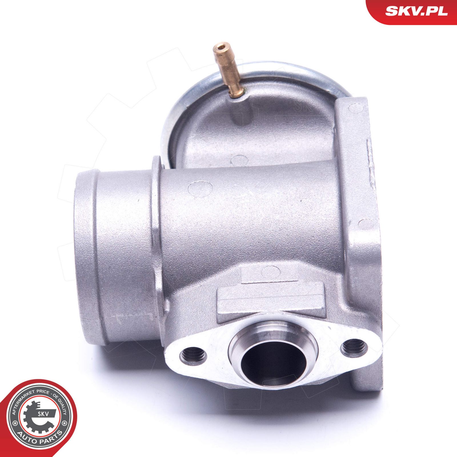 EGR Valve-1