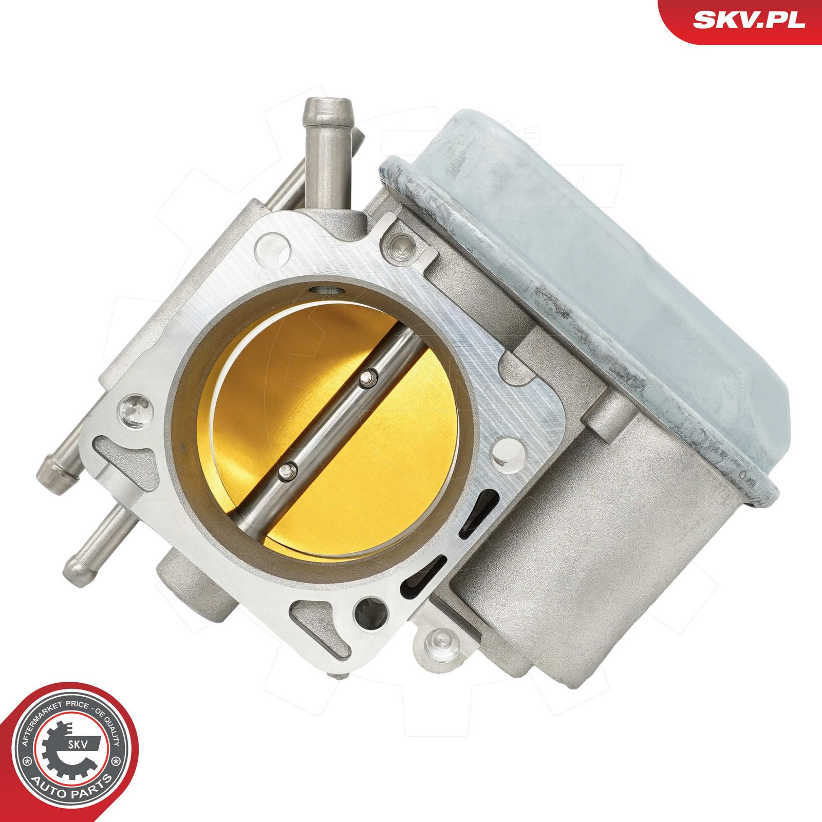 Throttle Body-1