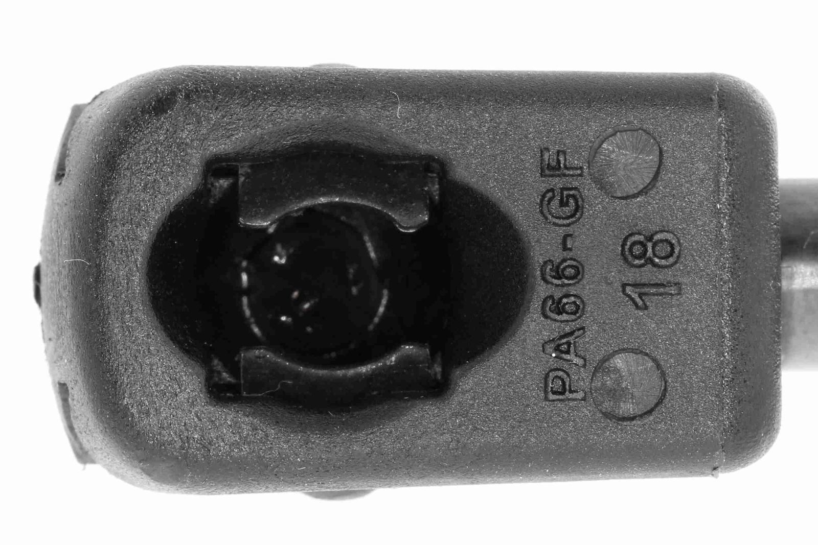 dujinė spyruoklė, bagažinė-2