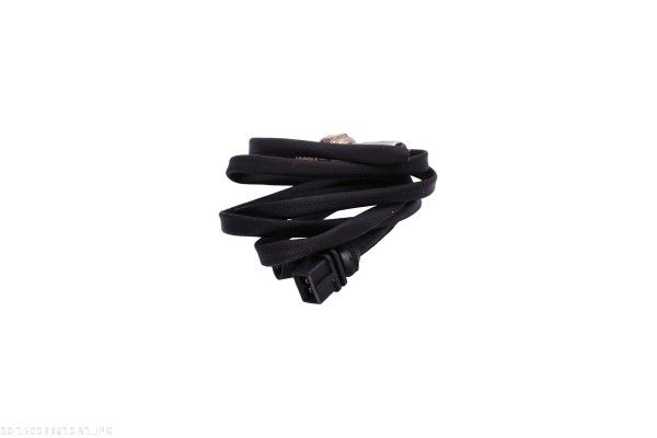 Oxygen Sensor-2
