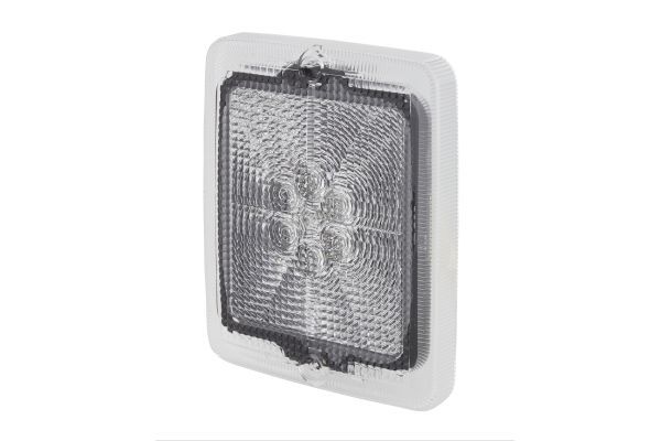 HELLA 9DW 195 804-221 Lens, direction indicator
