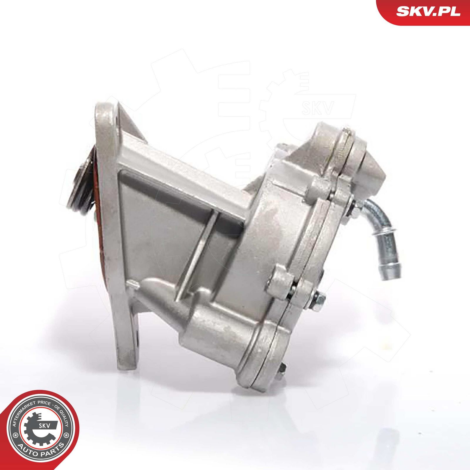 ESEN SKV 18SKV008 Vacuum pump, braking system