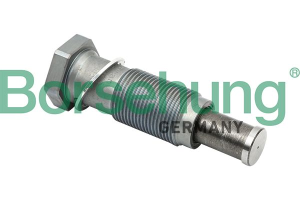 BORSEHUNG B1T012 Tensioner, timing chain