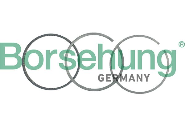 BORSEHUNG B19041 Piston ring set