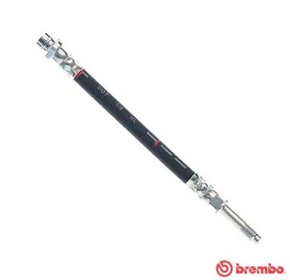 stabdžių žarnelė