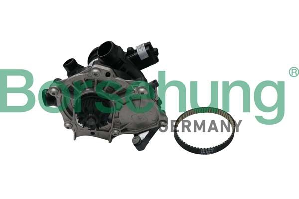 BORSEHUNG B19205 Water pump, engine cooling