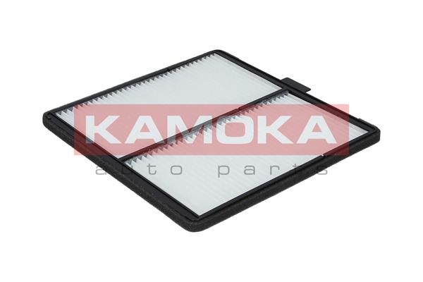 filtras, salono oras-1