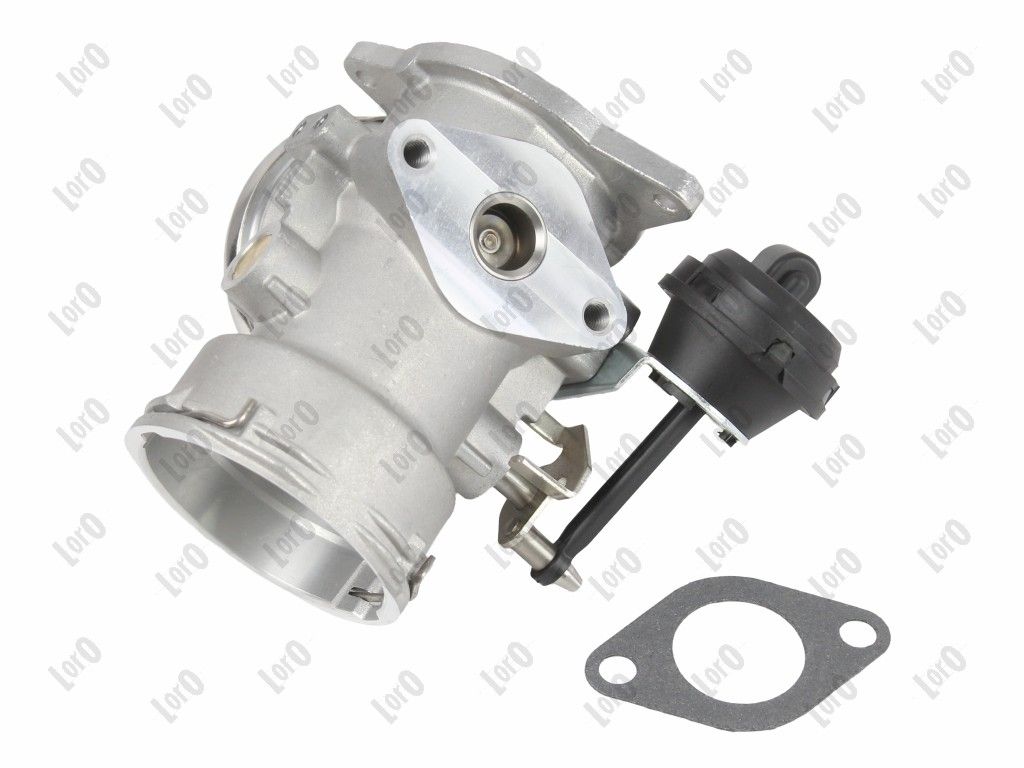 EGR Valve-1