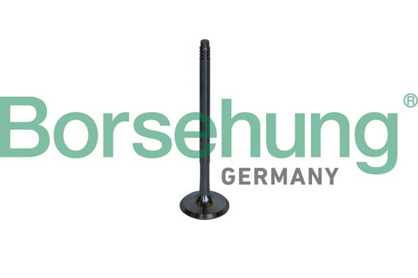 BORSEHUNG B10326 Exhaust valve