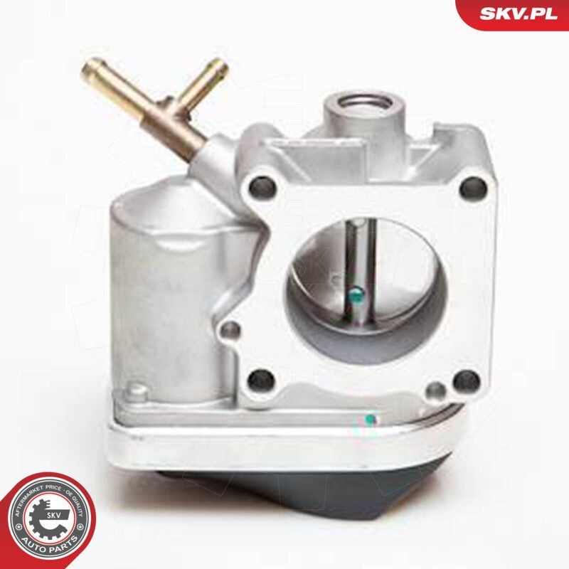 Throttle Body-1