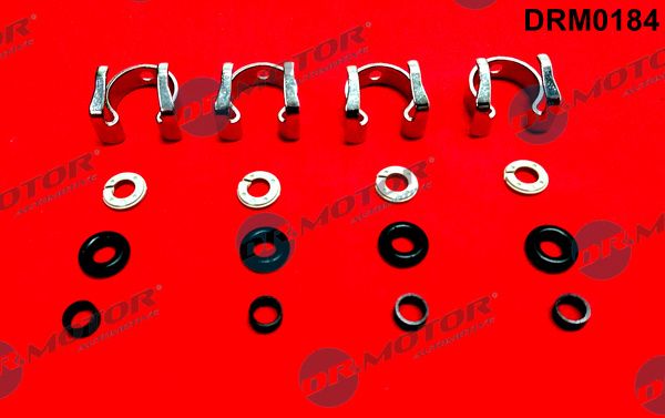 DR.MOTOR AUTOMOTIVE DRM0184 Repair kit, injection nozzle