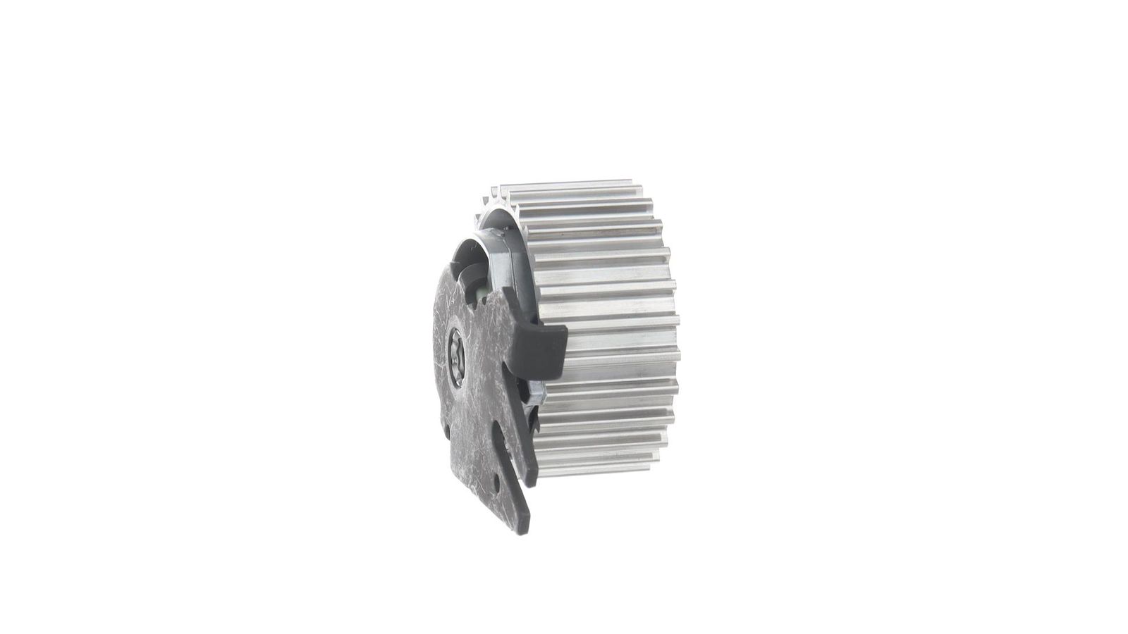 Tensioner Pulley, timing belt-1
