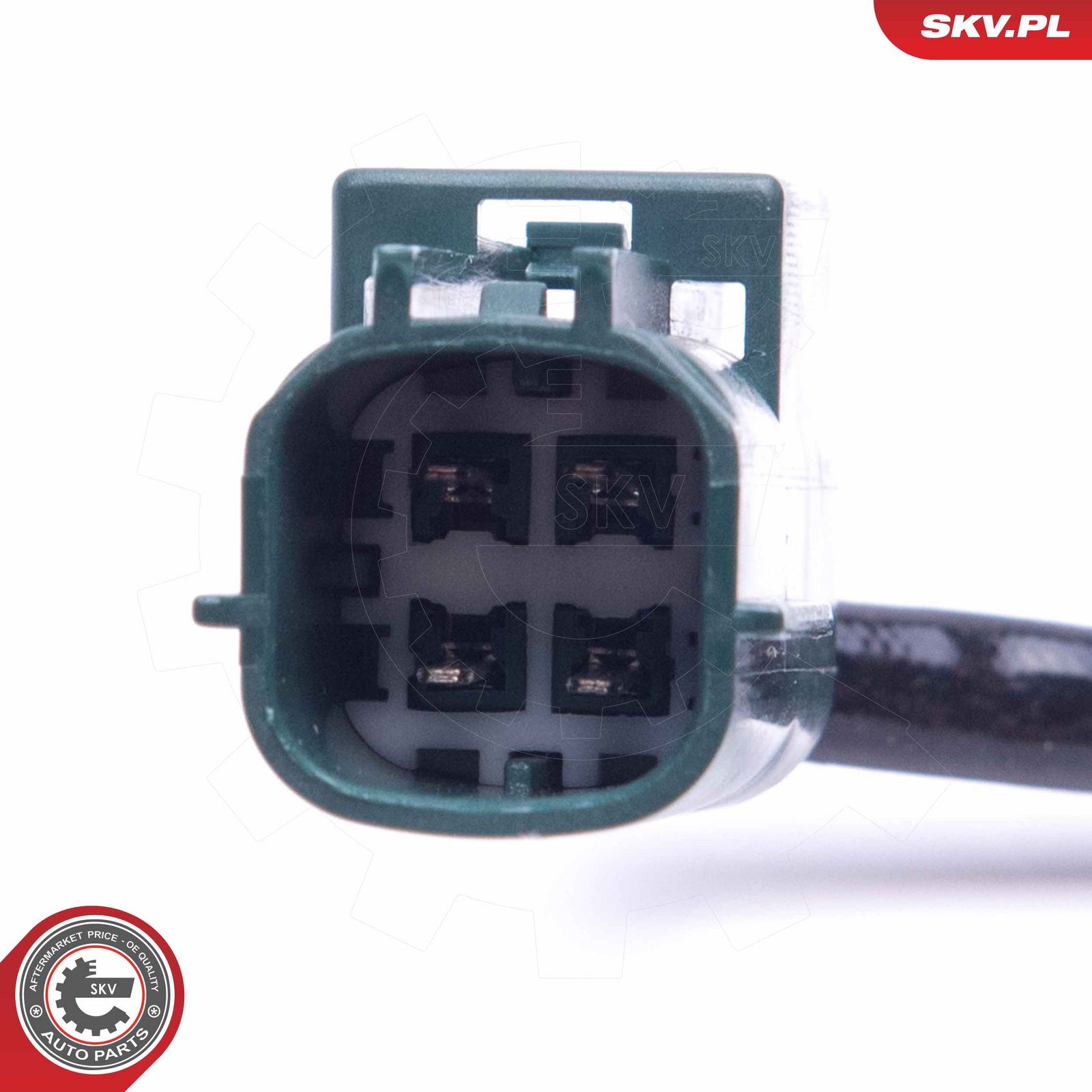 Oxygen Sensor-2