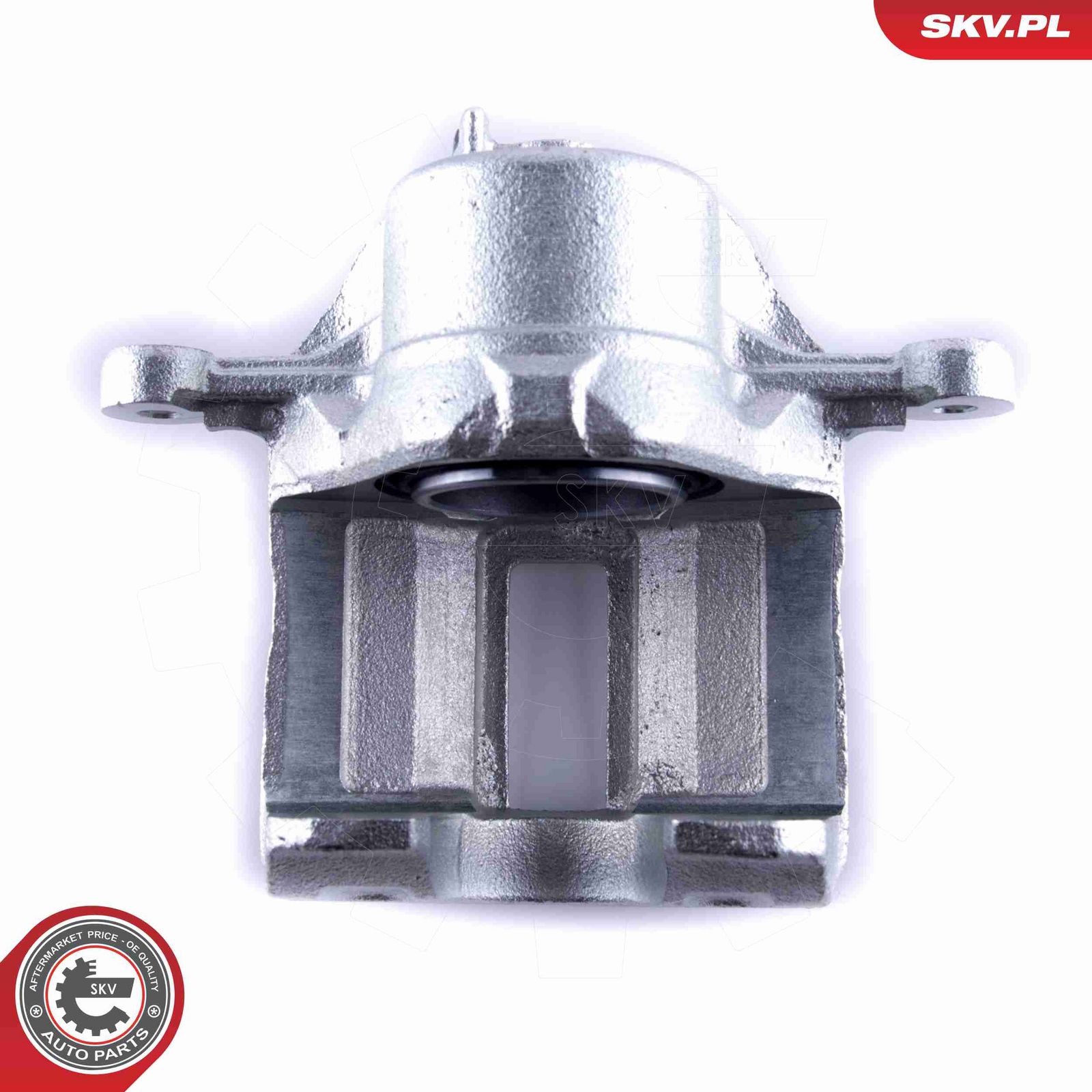 Brake Caliper-2