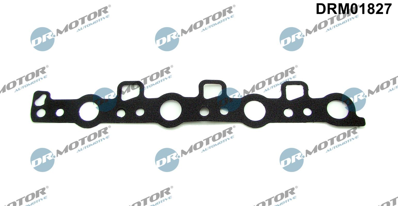 DR.MOTOR AUTOMOTIVE DRM01827 Seal, camshaft seal cap